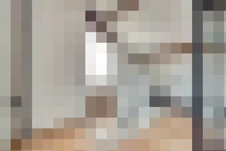 Het Juweel 9 Hilvarenbeek thumbnail 30