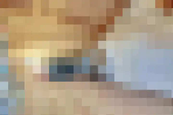 Het Juweel 9 Hilvarenbeek thumbnail 32