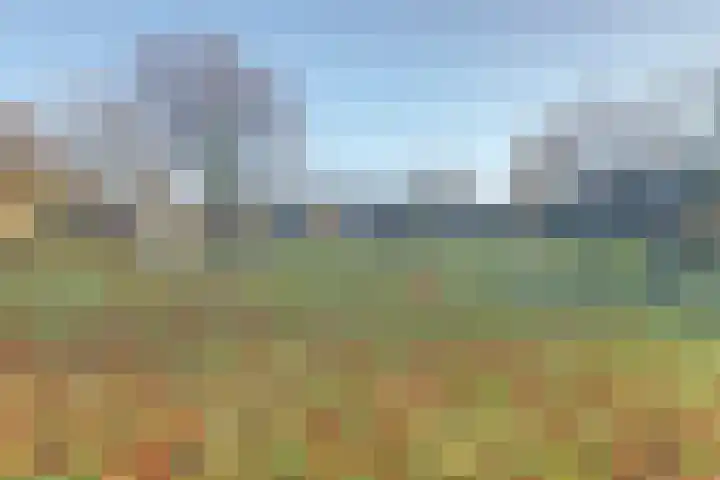 Het Juweel 9 Hilvarenbeek thumbnail 37
