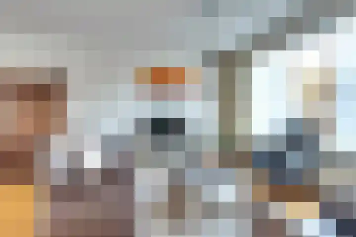 Het Juweel 9 Hilvarenbeek thumbnail 4