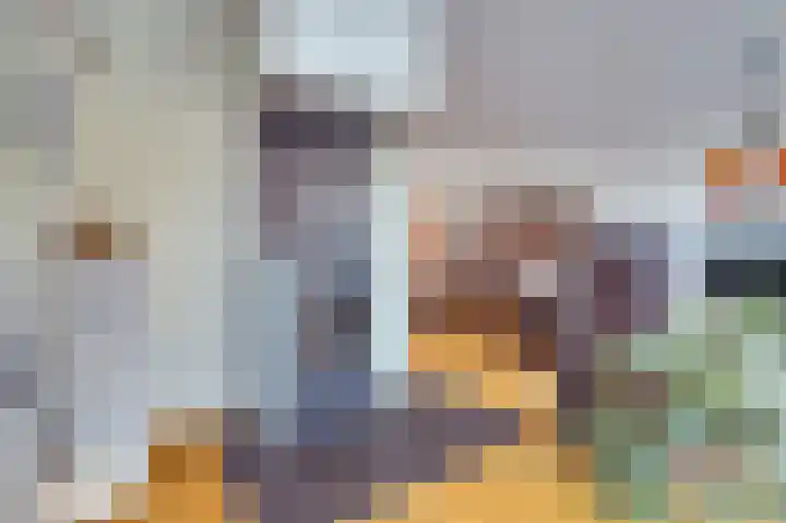Het Juweel 9 Hilvarenbeek thumbnail 7