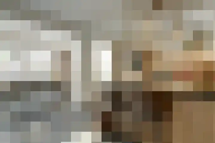 Het Kaar 14 Bergeijk thumbnail 10