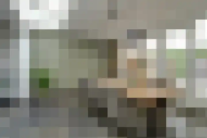 Het Kaar 14 Bergeijk thumbnail 12
