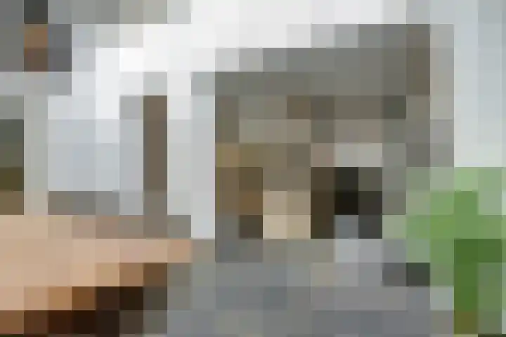 Het Kaar 14 Bergeijk thumbnail 16