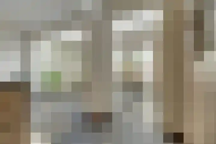 Het Kaar 14 Bergeijk thumbnail 18