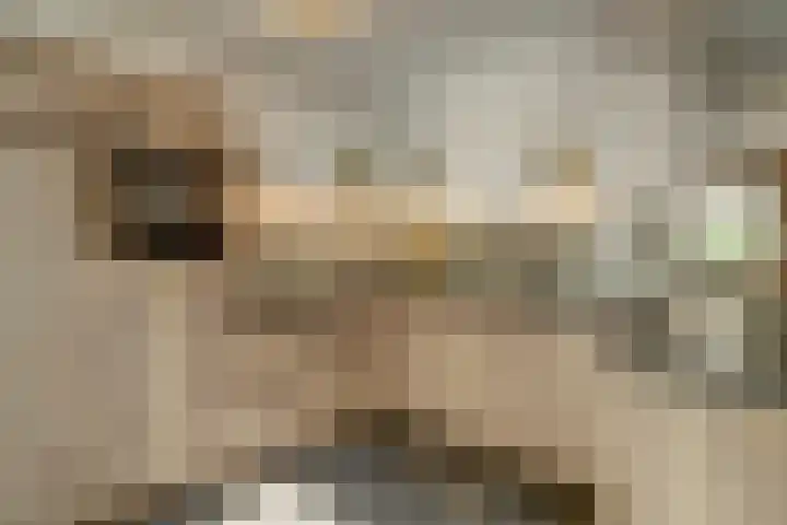 Het Kaar 14 Bergeijk thumbnail 20
