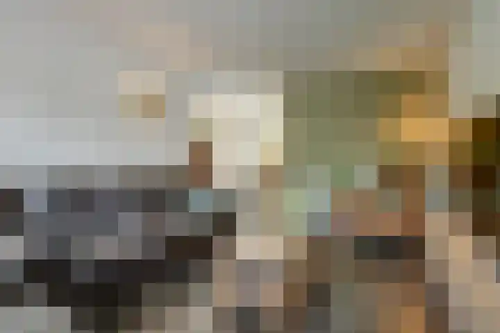 Het Kaar 14 Bergeijk thumbnail 23