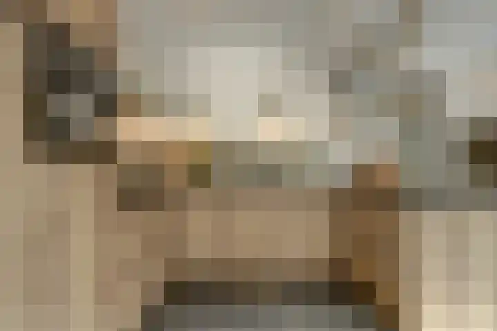 Het Kaar 14 Bergeijk foto 3