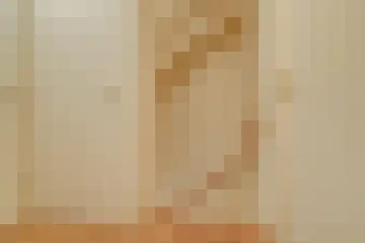 Het Kaar 14 Bergeijk thumbnail 31