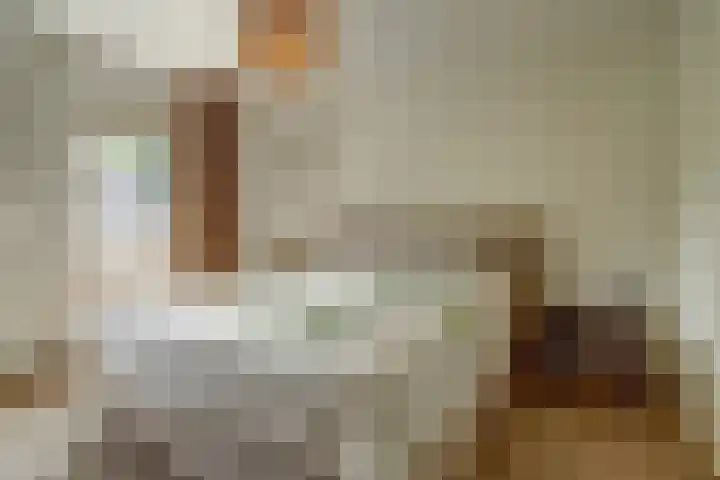 Het Kaar 14 Bergeijk thumbnail 32