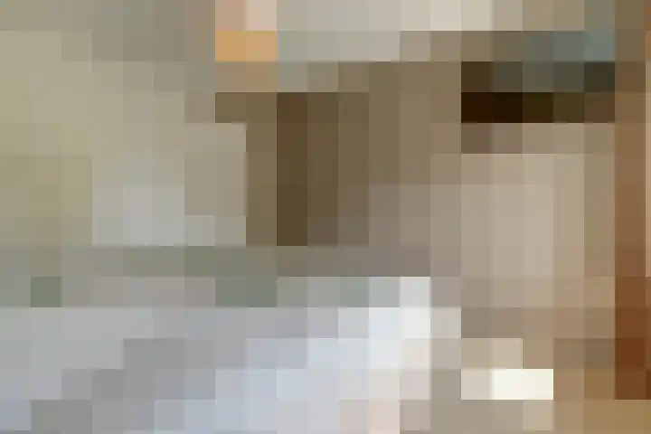 Het Kaar 14 Bergeijk thumbnail 33