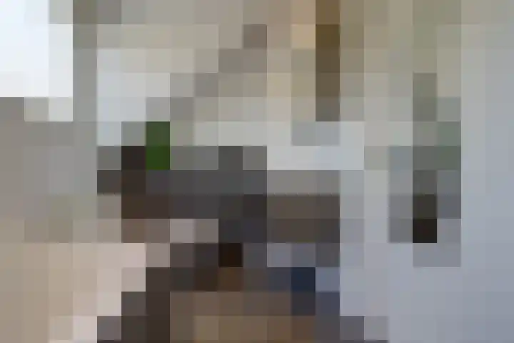 Het Kaar 14 Bergeijk thumbnail 38
