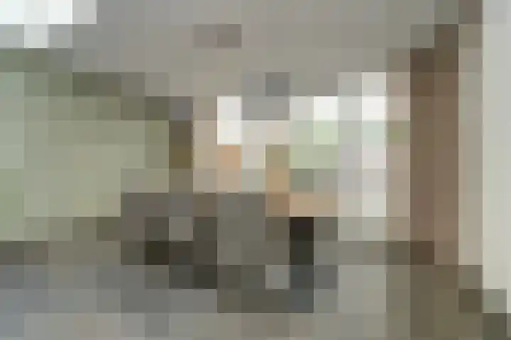 Het Kaar 14 Bergeijk thumbnail 4