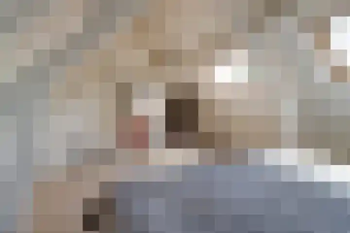 Het Kaar 14 Bergeijk thumbnail 43