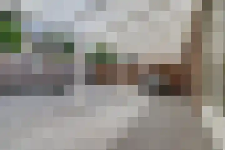 Het Kaar 14 Bergeijk thumbnail 44