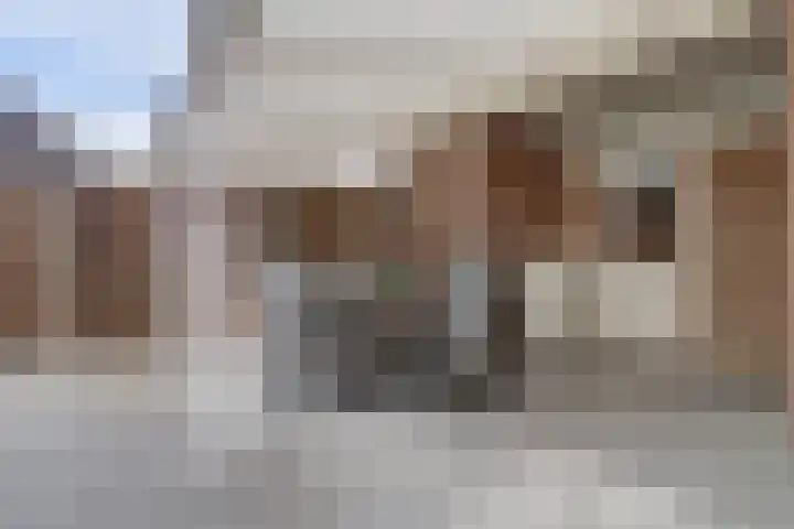 Het Kaar 14 Bergeijk thumbnail 45