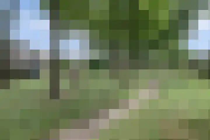 Het Kaar 14 Bergeijk thumbnail 51