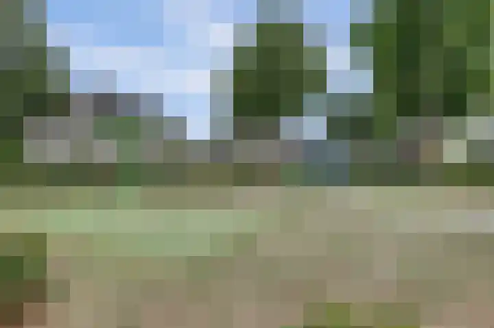 Het Kaar 14 Bergeijk thumbnail 52