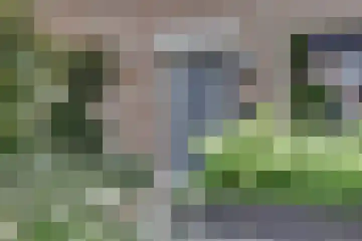 Het Kaar 14 Bergeijk thumbnail 7