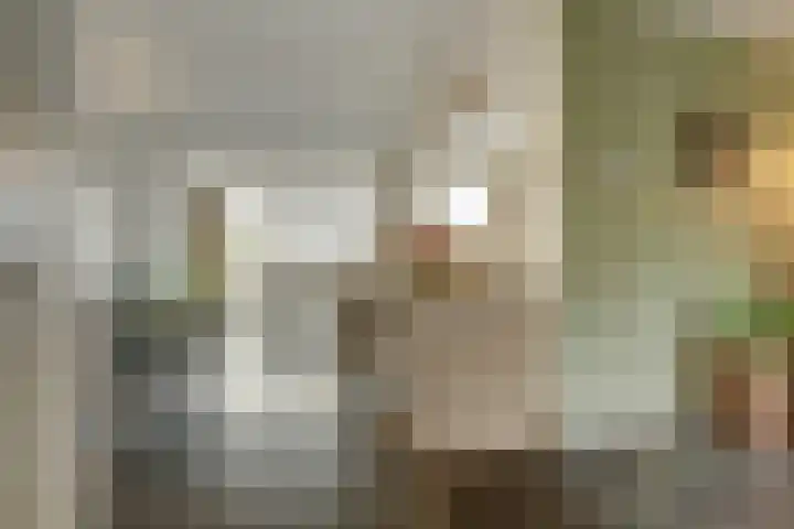 Het Kaar 14 Bergeijk thumbnail 9