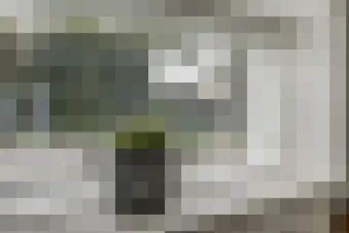 Het Kaar 17 Hapert thumbnail 11