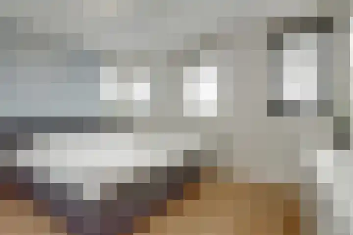 Het Kaar 17 Hapert thumbnail 19