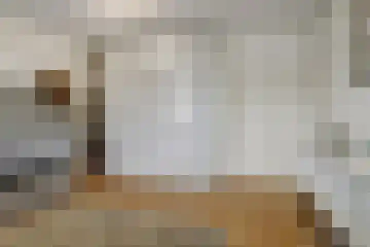 Het Kaar 17 Hapert thumbnail 24