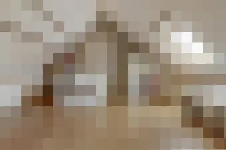 Het Kaar 17 Hapert thumbnail 27