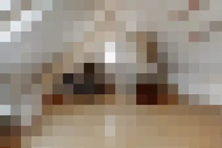 Het Kaar 17 Hapert thumbnail 28