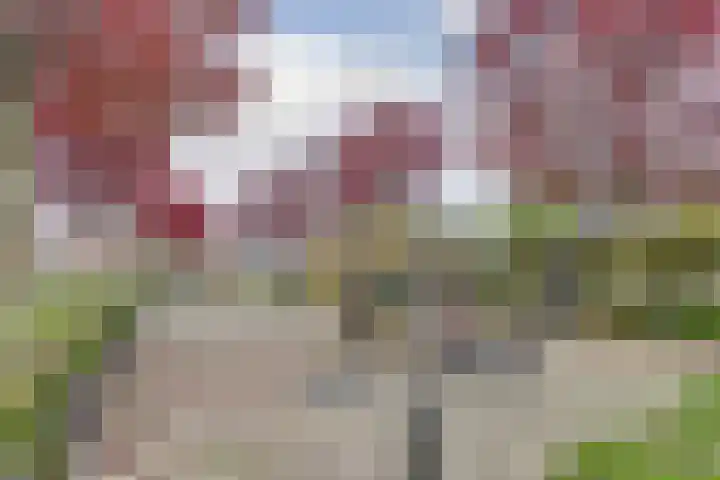 Het Kaar 17 Hapert thumbnail 37
