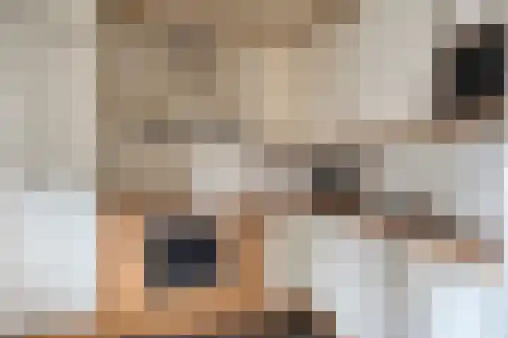 Het Kaar 43 Bergeijk thumbnail 11
