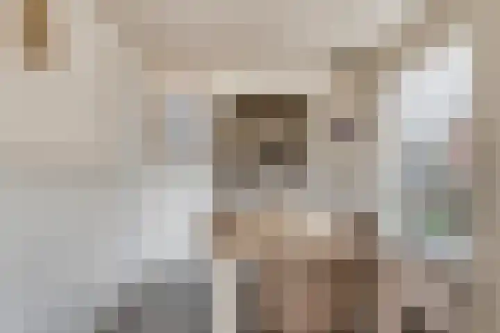 Het Kaar 43 Bergeijk thumbnail 14