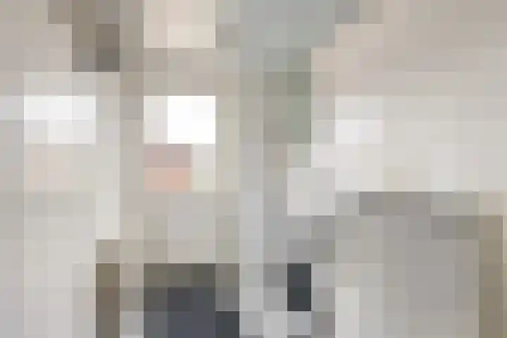 Het Kaar 43 Bergeijk thumbnail 15