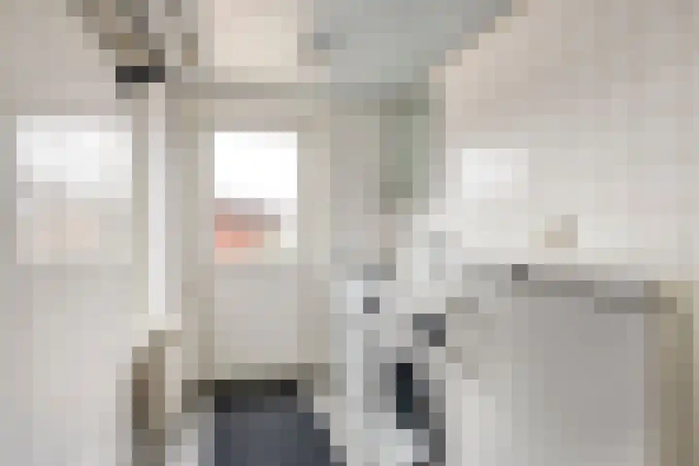 Het Kaar 43 Bergeijk thumbnail 15