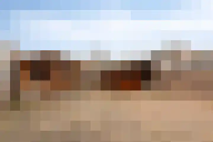 Het Kaar 43 Bergeijk thumbnail 30