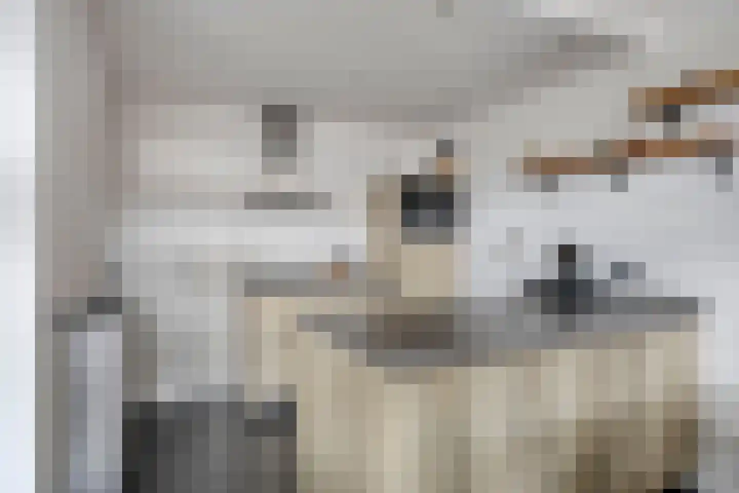 Het Kaar 52 Bergeijk thumbnail 10