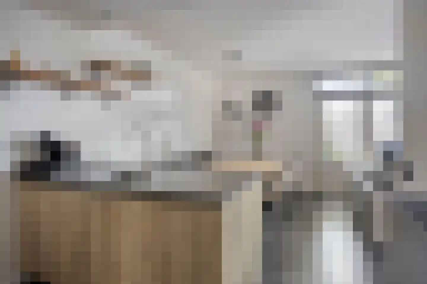 Het Kaar 52 Bergeijk foto 2
