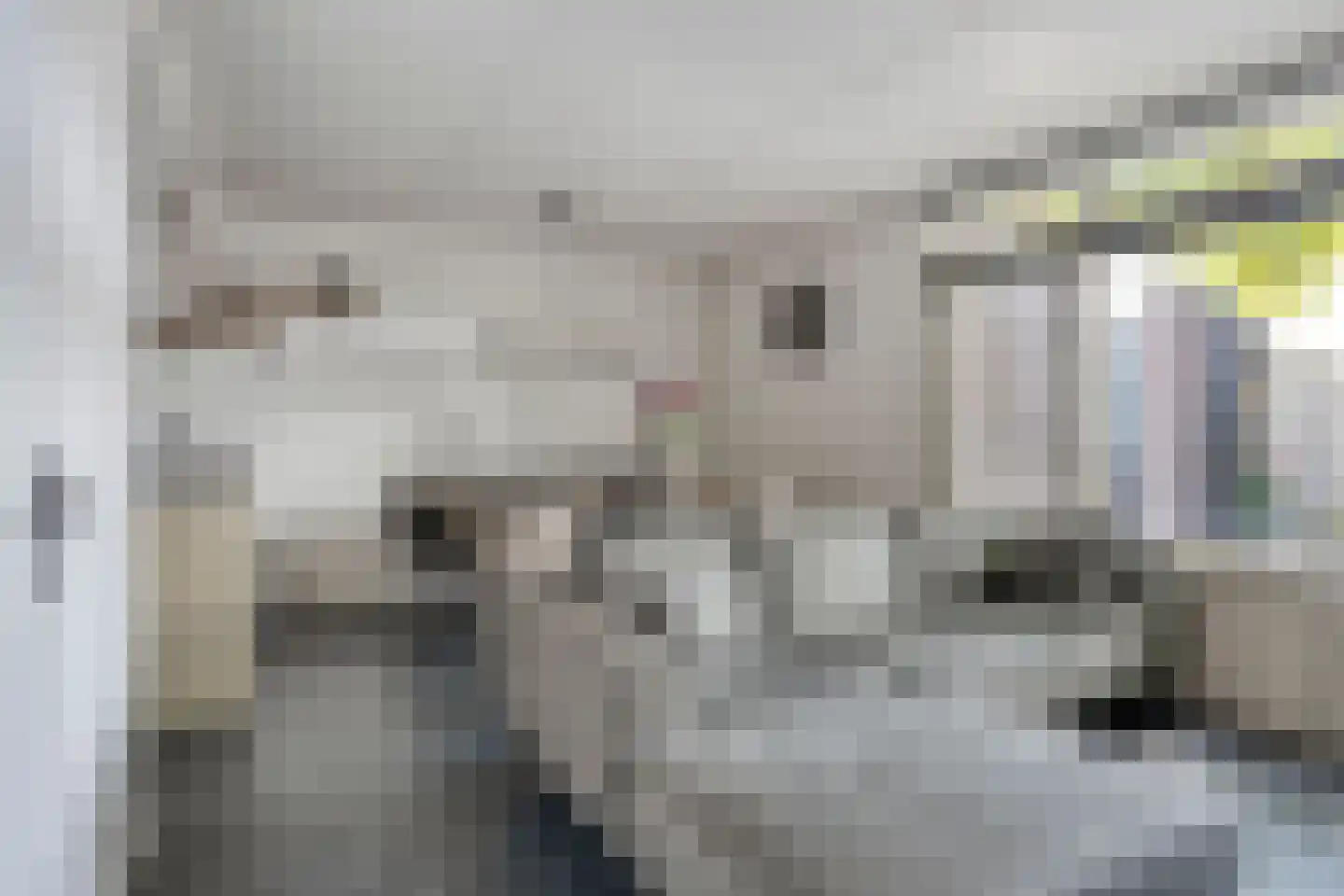 Het Kaar 52 Bergeijk thumbnail 7