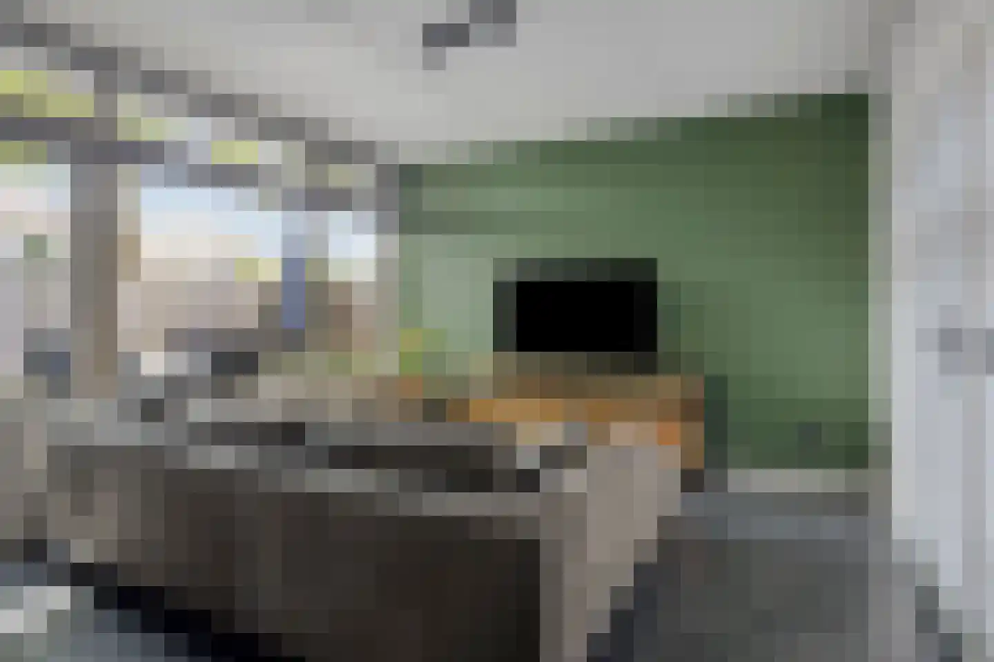 Het Kaar 52 Bergeijk thumbnail 8