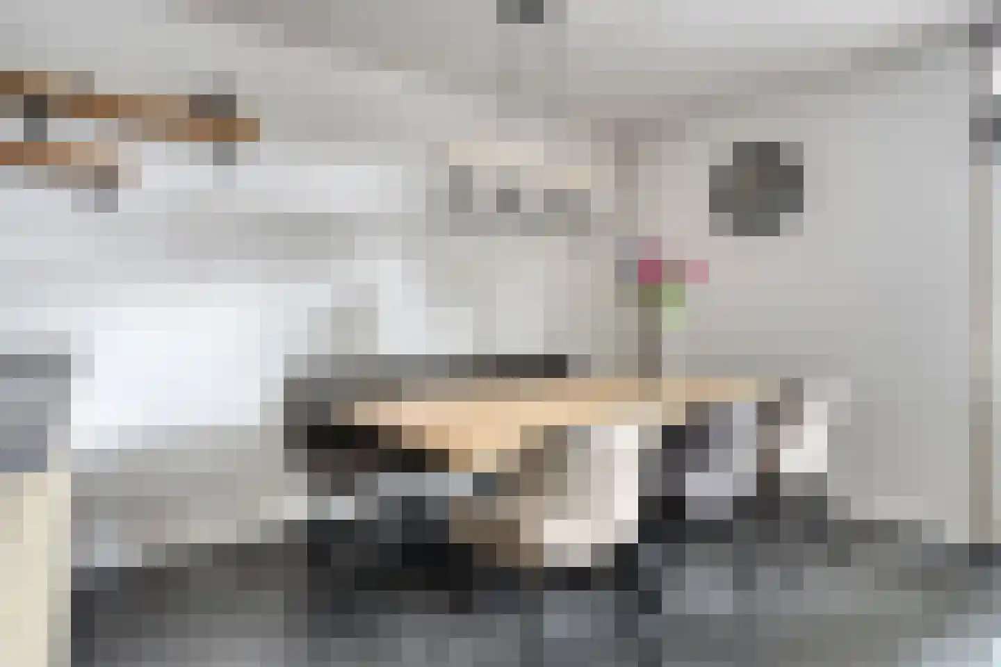 Het Kaar 52 Bergeijk thumbnail 9