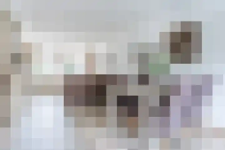 Het Kaar 55 Bergeijk thumbnail 11