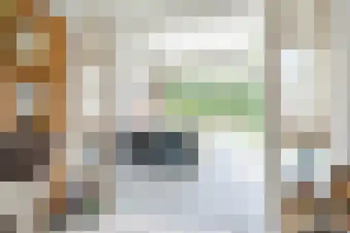 Het Kaar 55 Bergeijk thumbnail 12