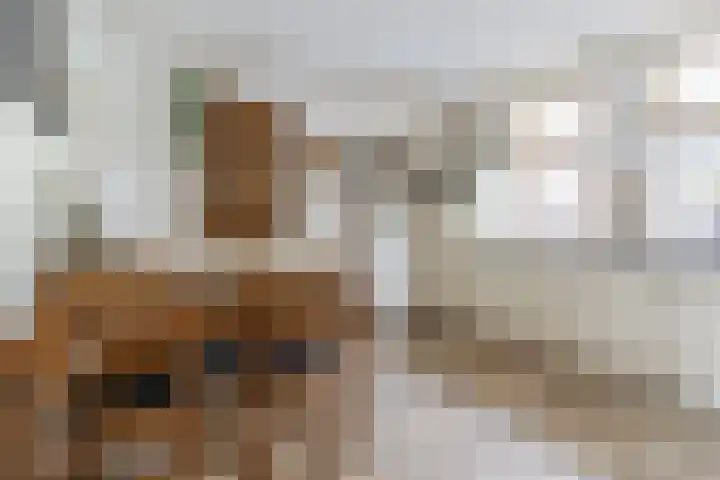 Het Kaar 55 Bergeijk thumbnail 13