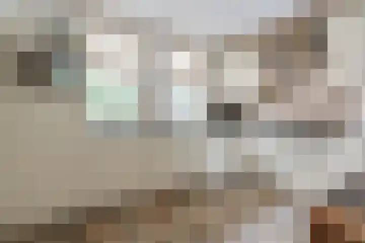 Het Kaar 55 Bergeijk thumbnail 14