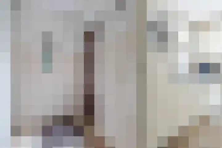Het Kaar 55 Bergeijk thumbnail 15