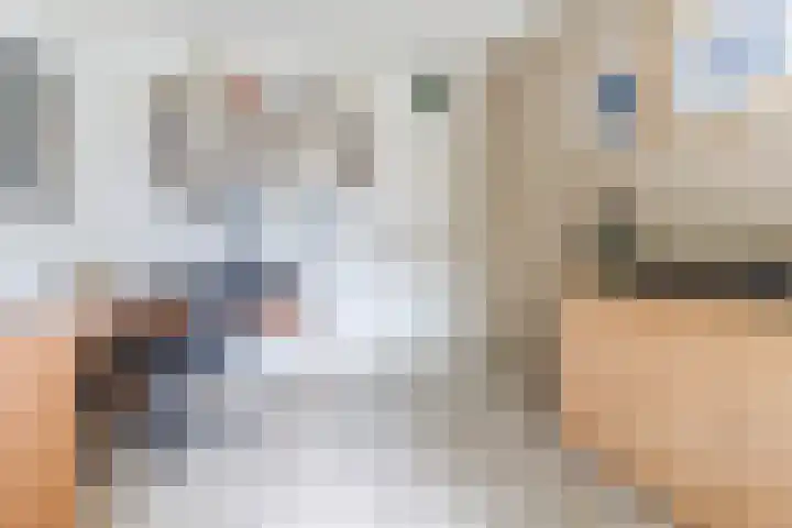 Het Kaar 55 Bergeijk thumbnail 18
