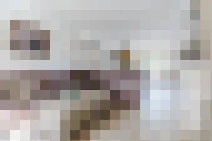 Het Kaar 55 Bergeijk foto 2