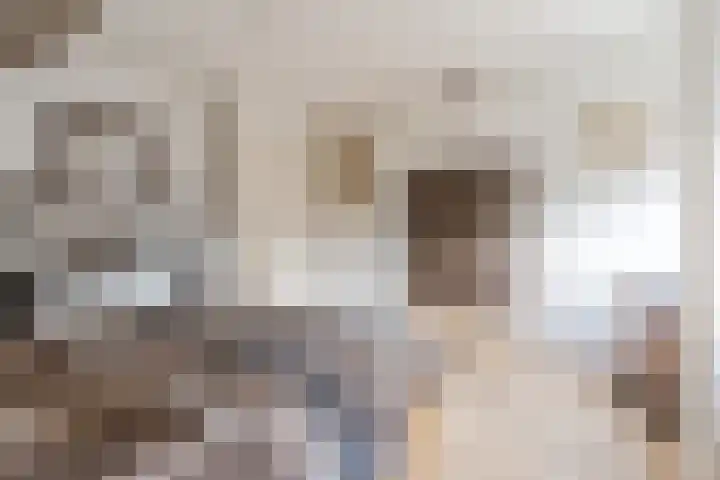 Het Kaar 55 Bergeijk thumbnail 22