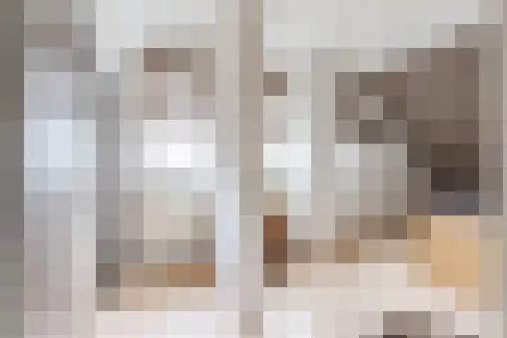 Het Kaar 55 Bergeijk thumbnail 23