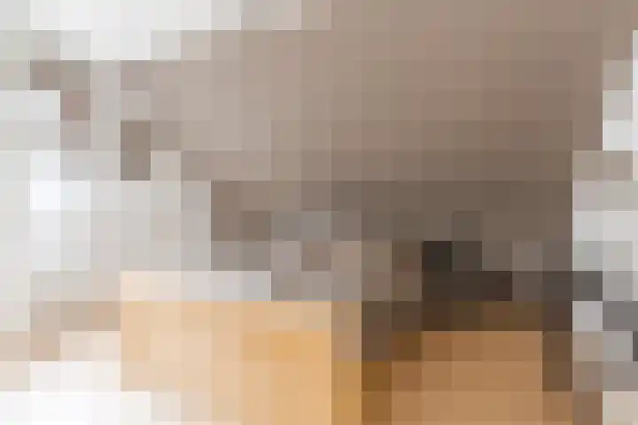 Het Kaar 55 Bergeijk thumbnail 24